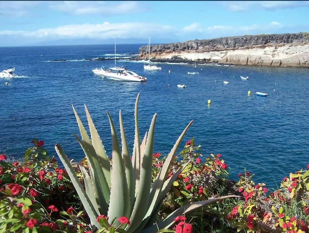 Paraiso Del Sur Apartments Costa Adeje  España